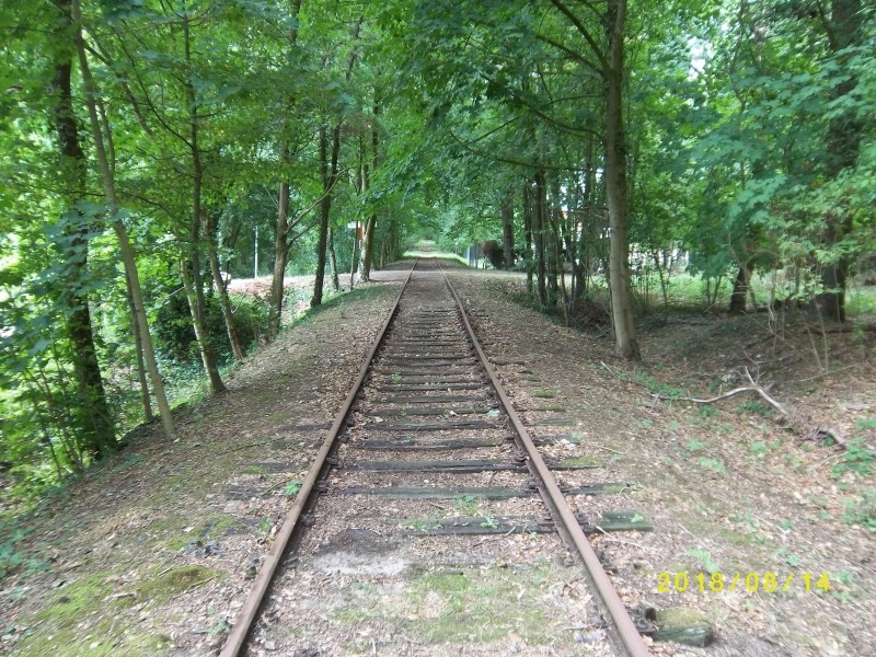 ZWNEGI13